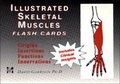 Cover: Illustrated Skeletal Muscle Flash Cards - McGraw-Hill Medical