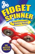 Cover: Fidget Spinner - Schwager & Steinlein