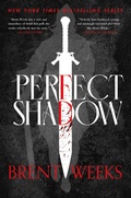Cover: Perfect Shadow - Orbit