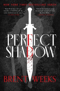 Enlarge image Cover: Perfect Shadow - Orbit
