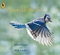 Cover: Sweep Up the Sun - Candlewick Press,U.S.