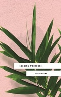 Cover: Evening Primrose: a heart-wrenching novel for our times - Sceptre