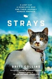 Enlarge image Cover: Strays - Thorndike Press Large Print
