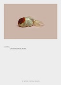 Cover: A Guide to the Flora and Fauna of the World - Steidl