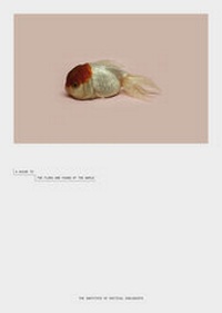 Enlarge image Cover: A Guide to the Flora and Fauna of the World - Steidl