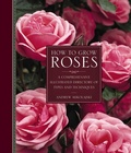 Cover: How to Grow Roses - Lorenz Books
