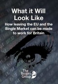 Cover: What it Will Look Like - Bruges Group