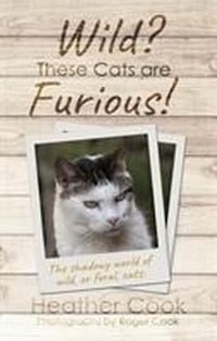 Enlarge image Cover: Wild? These Cats are Furious! - Matador