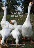 Cover: A Gaggle of Geese - Alba Publishing