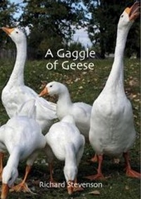 Enlarge image Cover: A Gaggle of Geese - Alba Publishing