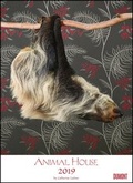 Cover: Animal House Kalender 2019 - DUMONT Tier-Kalender - Foto-Kunst - Poster-Format 49,5 x 68,5 cm - DuMont Kalenderverlag