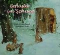 Cover: Gefl&uuml;ster im Schnee - minedition