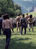 Cover: Swiss Rebels - Steidl