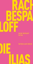 Cover: Die Ilias - Matthes & Seitz Berlin