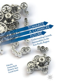 Enlarge image Cover: Towards A Common Future - Springer