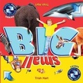 Cover: BIG and SMALL - Hartpix Press