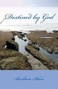 Cover: Destined by God - Palmer Enterprises