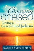 Cover: Amazing Chesed - Jewish Lights