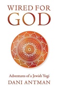 Cover: Wired for God - Turning Stone Press