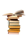 Cover: Disability Discrimination Claims - Jordan Publishing