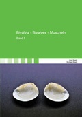 Cover: Bivalvia - Bivalves - Muscheln - Shaker