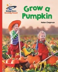 Cover: Reading Planet - Grow a Pumpkin - Red B: Galaxy - Rising Stars