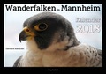 Cover: Wanderfalken in Mannheim - Waldkirch Verlag