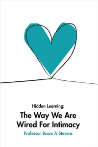 Enlarge image Cover: Hidden Learning - Vivid Publishing