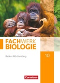Cover: Fachwerk Biologie - Baden-W&uuml;rttemberg - 10. Schuljahr - Cornelsen Verlag