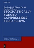 Cover: Stochastically Forced Compressible Fluid Flows - De Gruyter