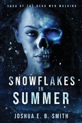 Cover: Snowflakes in Summer - Joshua E. B. Smith