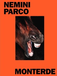Abbildung von: Nemini Parco - RM Verlag SL