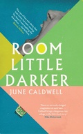 Cover: Room Little Darker - NEW ISLAND BOOKS