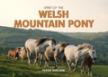 Cover: Spirit of the Welsh Mountain Pony - Pixz Books