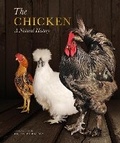 Cover: The Chicken - Ivy Press