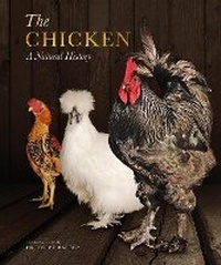 Enlarge image Cover: The Chicken - Ivy Press