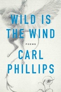 Cover: Wild Is the Wind - Farrar, Straus and Giroux