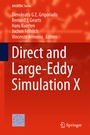Cover: Direct and Large-Eddy Simulation X - Springer