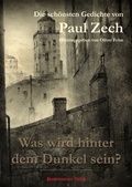 Cover: Was wird hinter dem Dunkel sein? - Pand&auml;monium Verlag