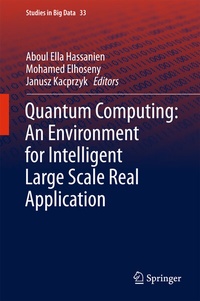 Abbildung von: Quantum Computing:An Environment for Intelligent Large Scale Real Application - Springer