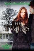 Cover: The Twins - Sonderocity