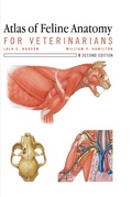 Cover: Atlas of Feline Anatomy For Veterinarians - Routledge