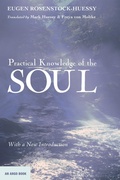Cover: Practical Knowledge of the Soul - Wipf and Stock Publishers