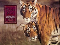 Enlarge image Cover: Tiger's Tale - Fountain Press Ltd