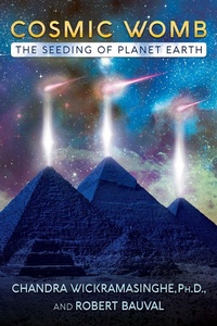 Enlarge image Cover: Cosmic Womb - Bear & Company