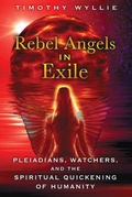 Cover: Rebel Angels in Exile - Bear & Company