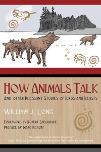 Enlarge image Cover: How Animals Talk - Bear & Company