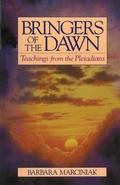 Cover: Bringers of the Dawn - Bear & Company
