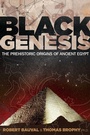 Cover: Black Genesis - Bear & Company