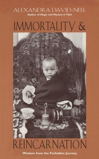 Enlarge image Cover: Immortality and Reincarnation - Simon + Schuster Inc.